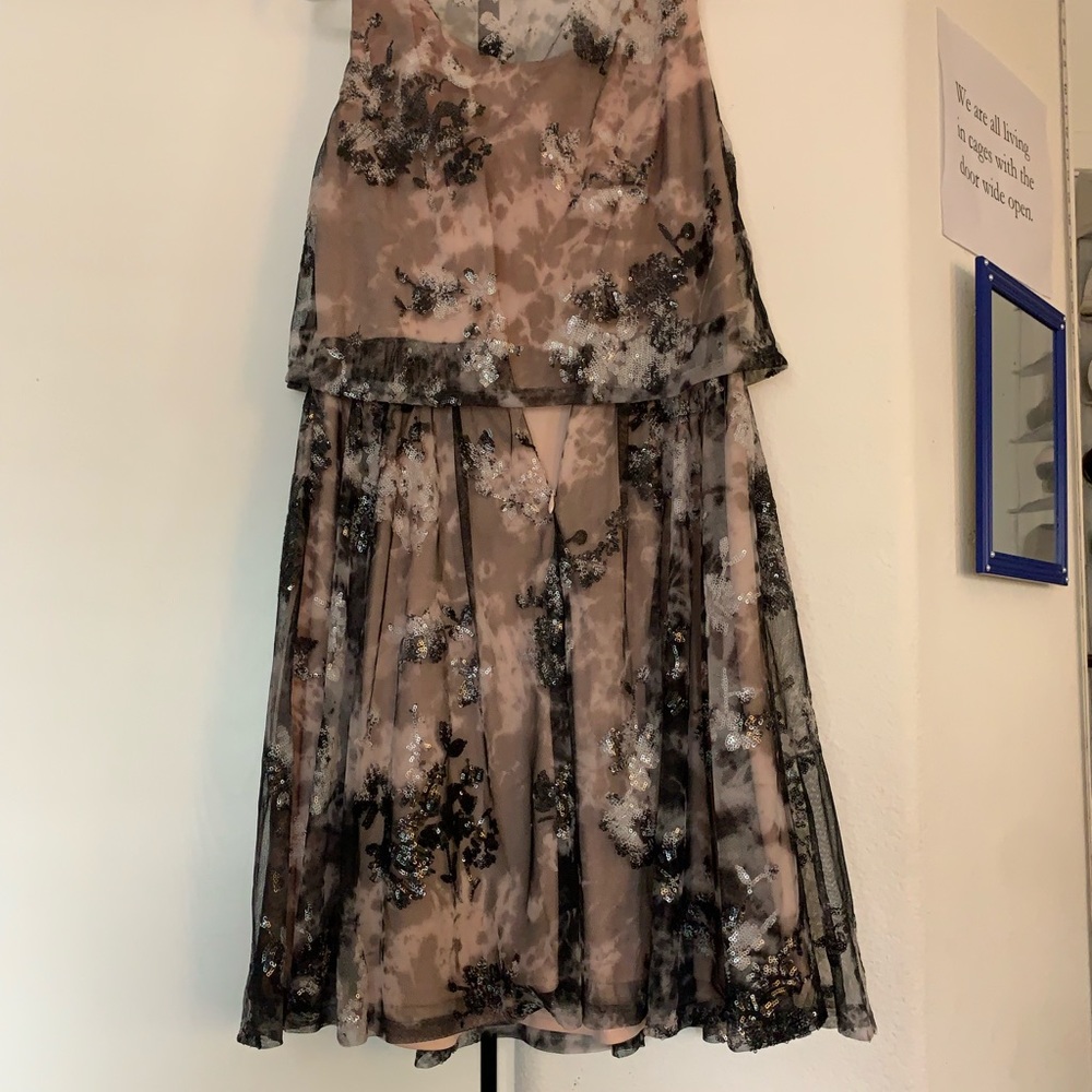 Rose and Black dress